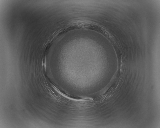 X0000083991108200702161125