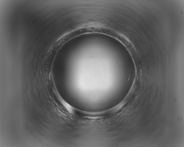 X0000083991112200702161125
