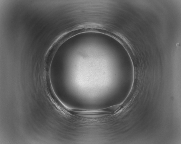 X0000083991115200702161125