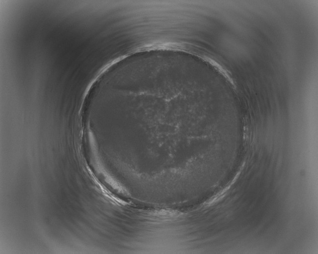 X0000083991117200702161125