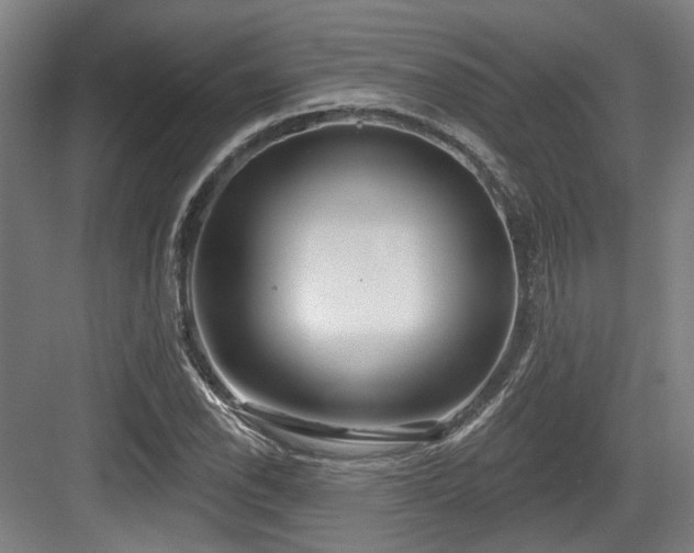 X0000083991118200702161125