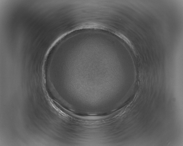 X0000083991120200702161125