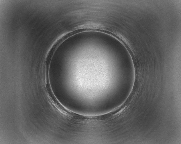 X0000083991123200702161125