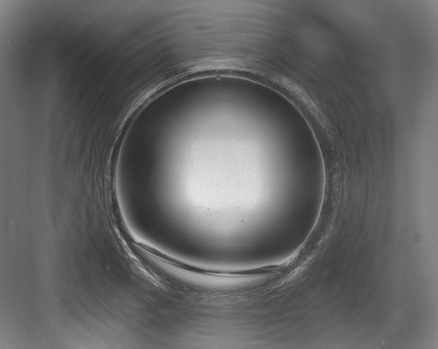X0000083991129200702161125