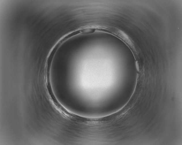 X0000083991132200702161125