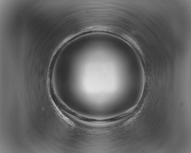 X0000083991133200702161125