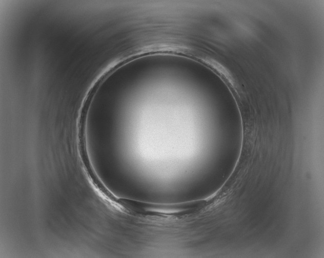 X0000083991135200702161125