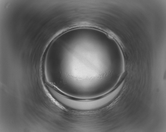 X0000083991142200702161126