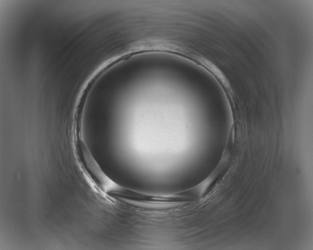 X0000083991144200702161126