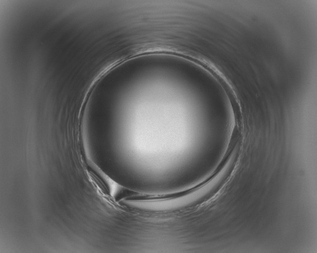 X0000083991145200702161126