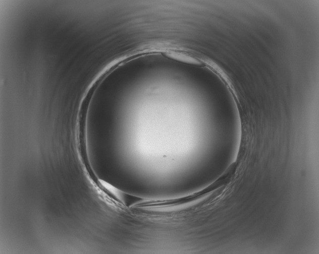 X0000083991147200702161126