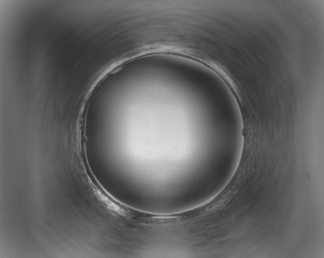 X0000083991151200702161126