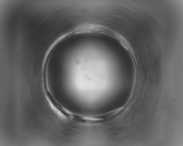 X0000083991152200702161126