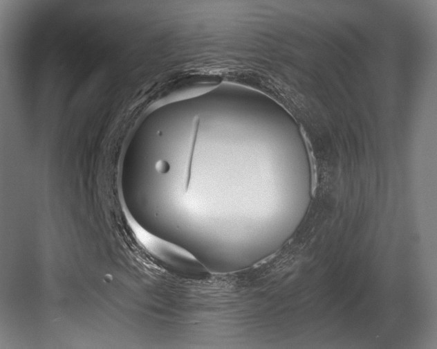 X0000083991153200702161125