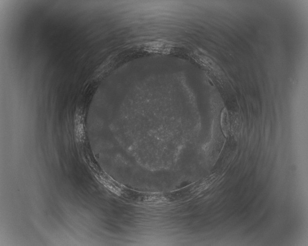 X0000083991154200702161125