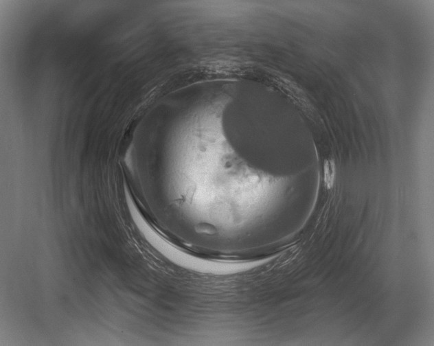 X0000083991155200702161125