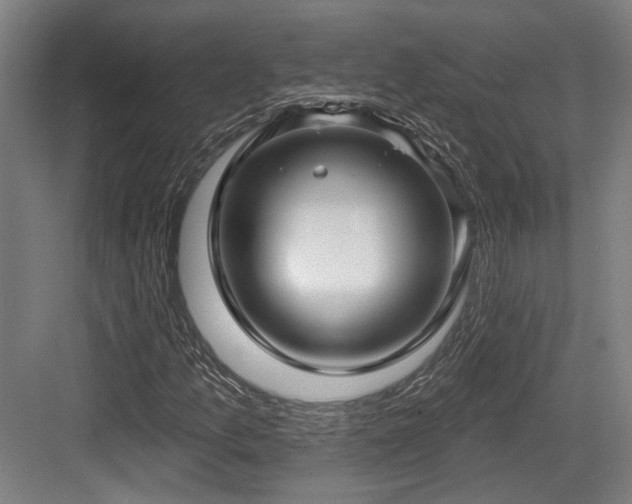 X0000083991157200702161125
