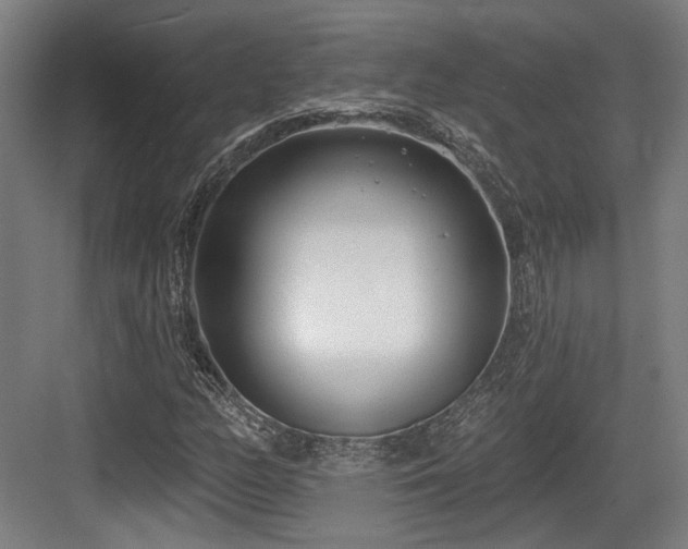 X0000083991158200702161125