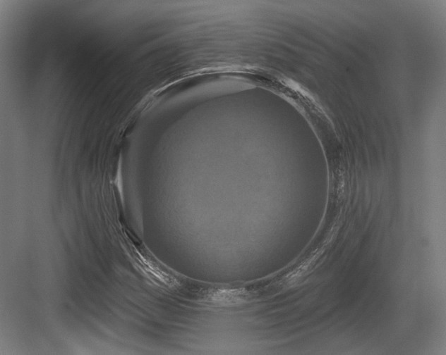X0000083991161200702161125