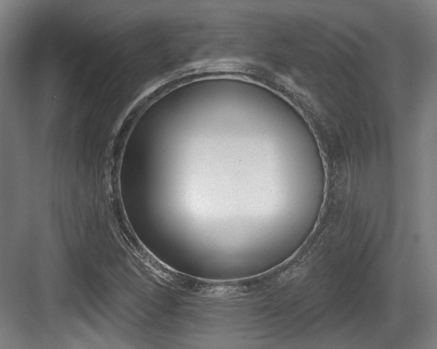 X0000083991166200702161125