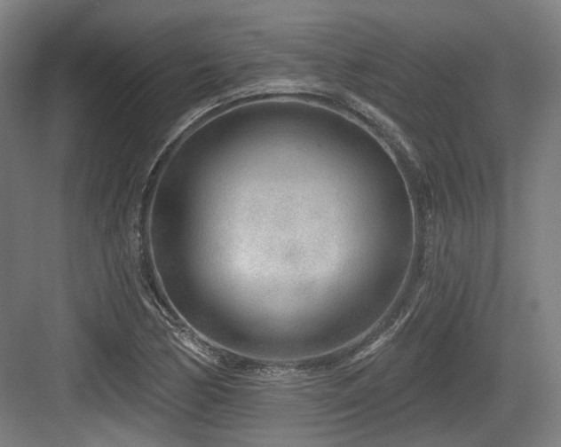 X0000083991170200702161125