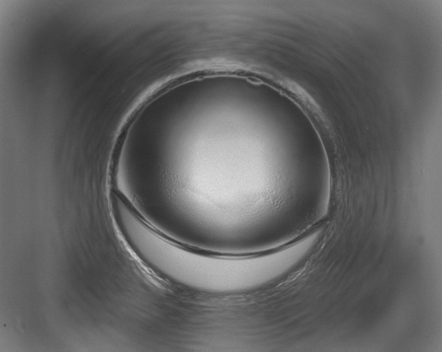 X0000083991183200702161124