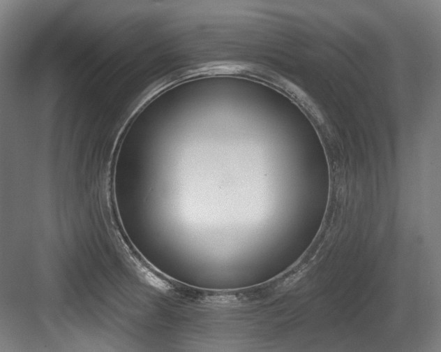 X0000083991186200702161124