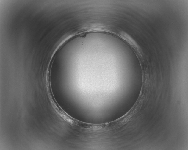 X0000083991190200702161124