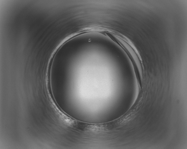 X0000083991195200702161124