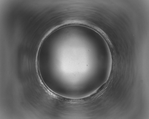 X0000083991199200702161124