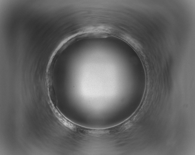 X0000083991200200702161124