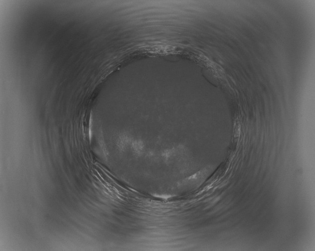 X0000083991202200702161123