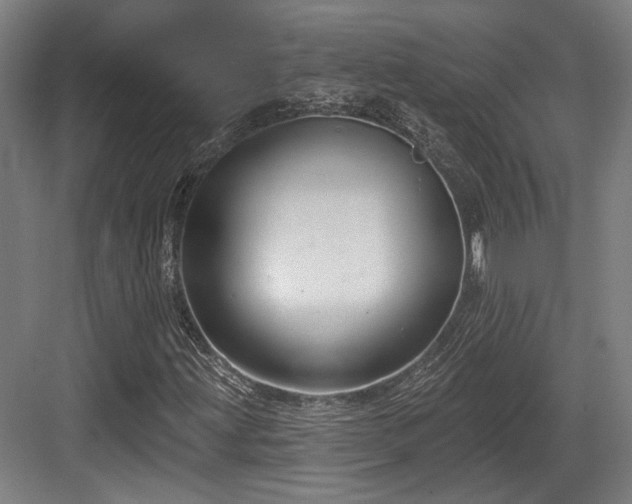 X0000083991203200702161123
