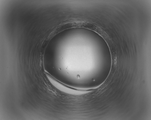 X0000083991204200702161123