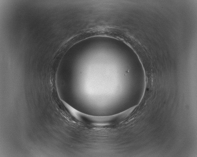X0000083991206200702161123