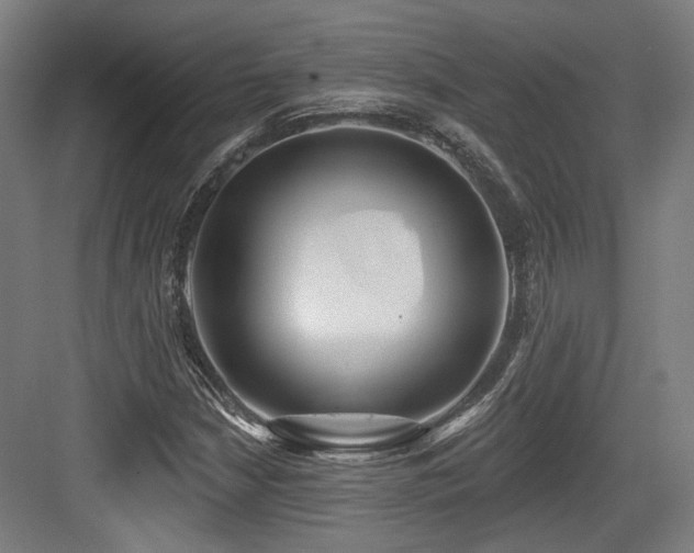 X0000083991210200702161124