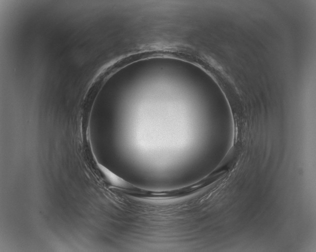 X0000083991214200702161124