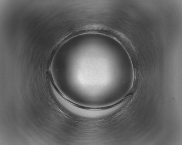 X0000083991217200702161124