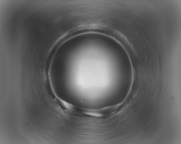 X0000083991218200702161124