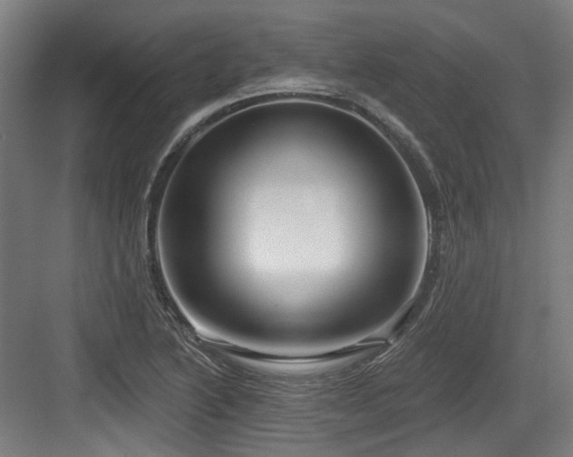 X0000083991222200702161124