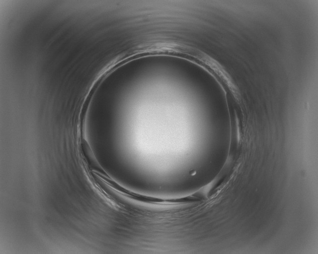X0000083991234200702161124