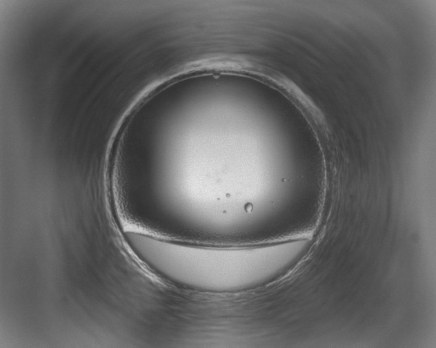 X0000083991240200702161124