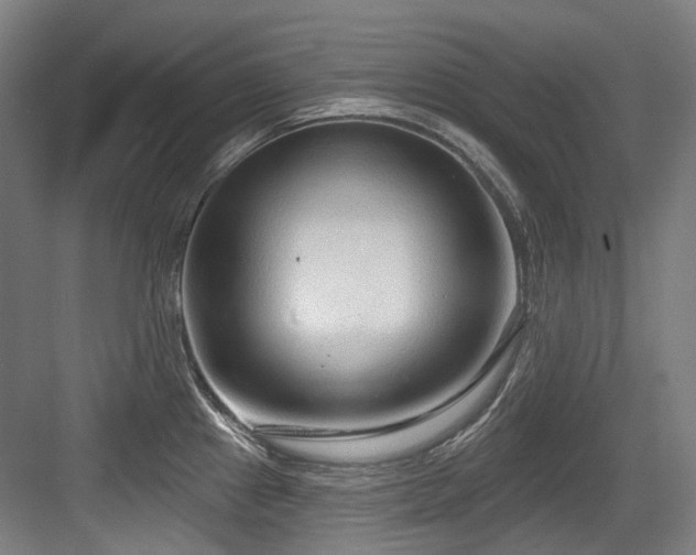 X0000083991241200702161124