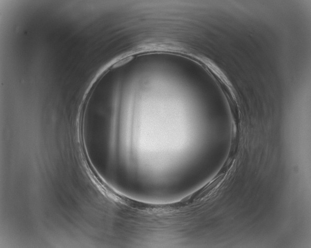 X0000083991246200702161124