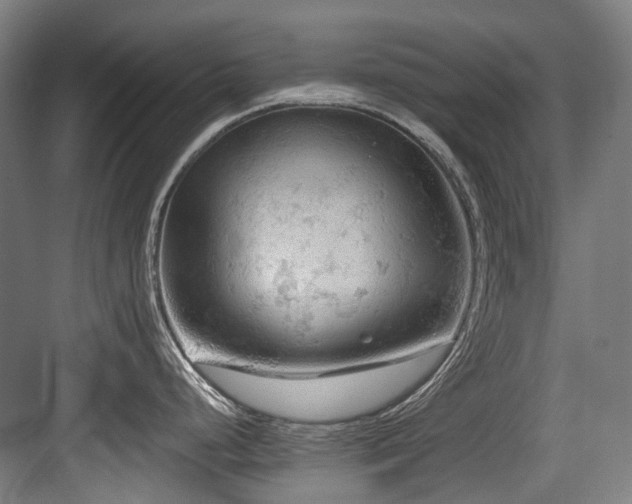 X0000083991248200702161124