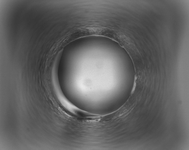 X0000083991249200702161123