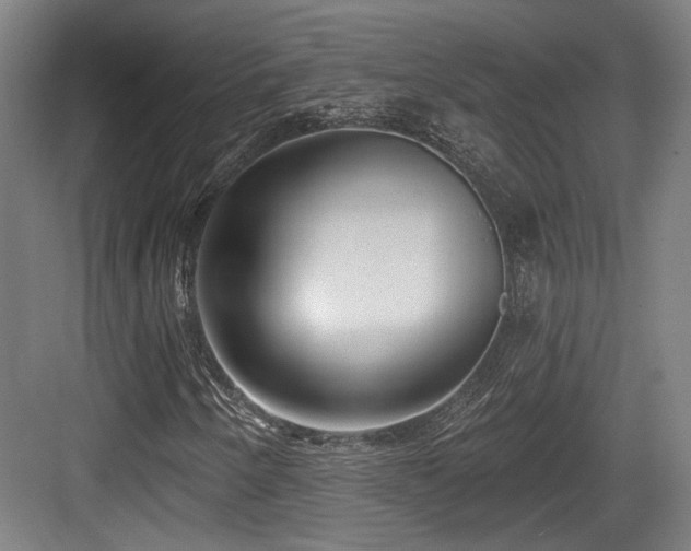 X0000083991250200702161123
