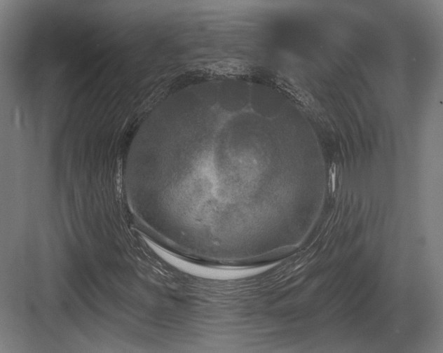X0000083991251200702161123
