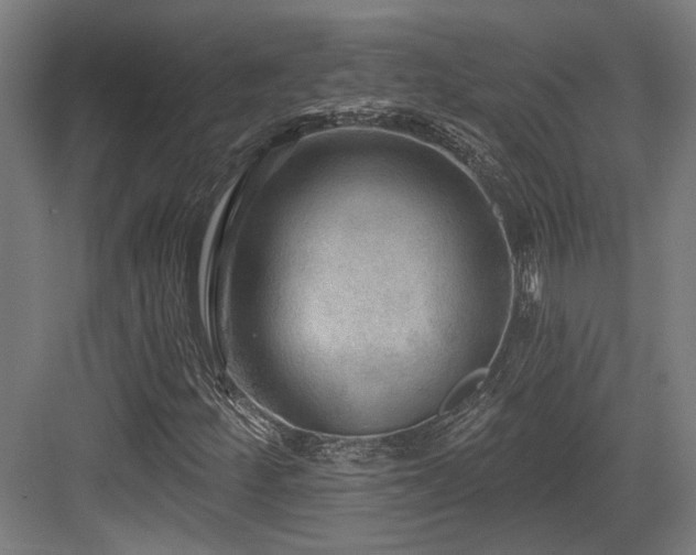 X0000083991252200702161123