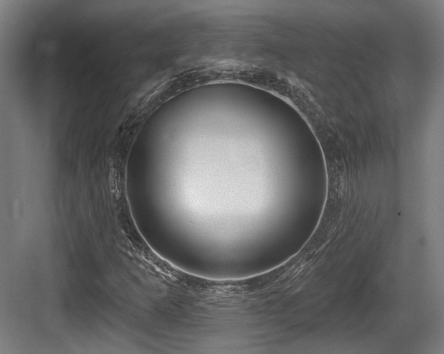 X0000083991253200702161123